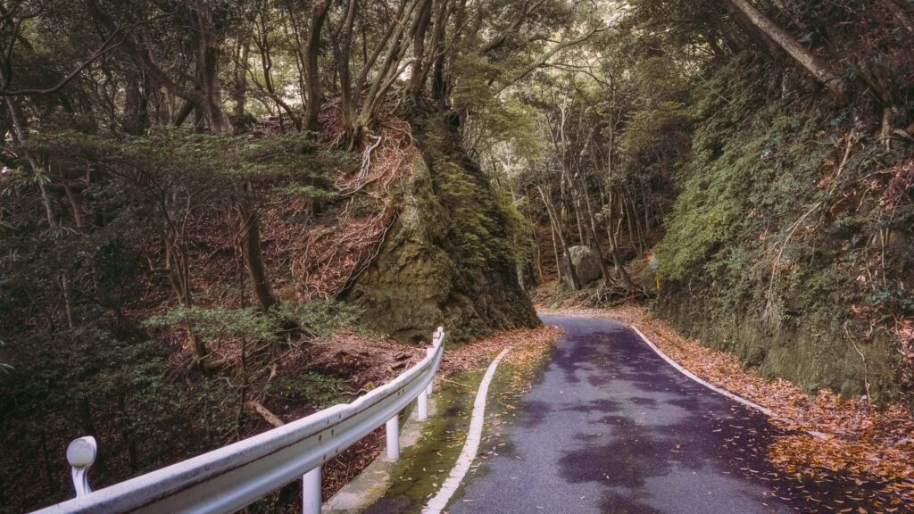 Seibudōro Road Yakushima – Scenic Forest Drive Through Japan's Ancient Island Winding forest road along Seibudōro in Yakushima, Japan, surrounded by lush moss-covered cliffs and dense subtropical trees.