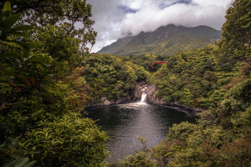 Torōki Waterfall with Mt. Mocchomu-dake and Red Bridge – Yakushima Torōki Waterfall cascading into a coastal basin beneath a red bridge, surrounded by dense green forest with Mt. Mocchomu-dake shrouded in clouds in the background