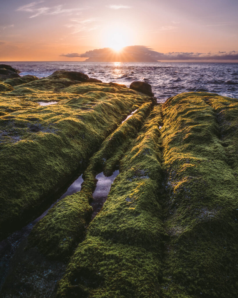 yakushima-inakahama-beach-moss-rocks-sunset Sunset over moss-covered rocks at Inakahama Beach in Yakushima, Japan, with soft light and tidal pools