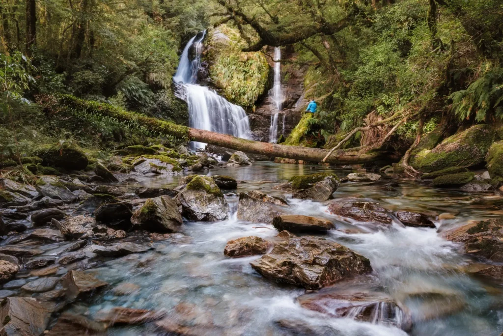 A hiker in a blue jacket stands beside Stewart Falls in New Zealand, surrounded by mossy rocks, forest, and a clear rushing stream