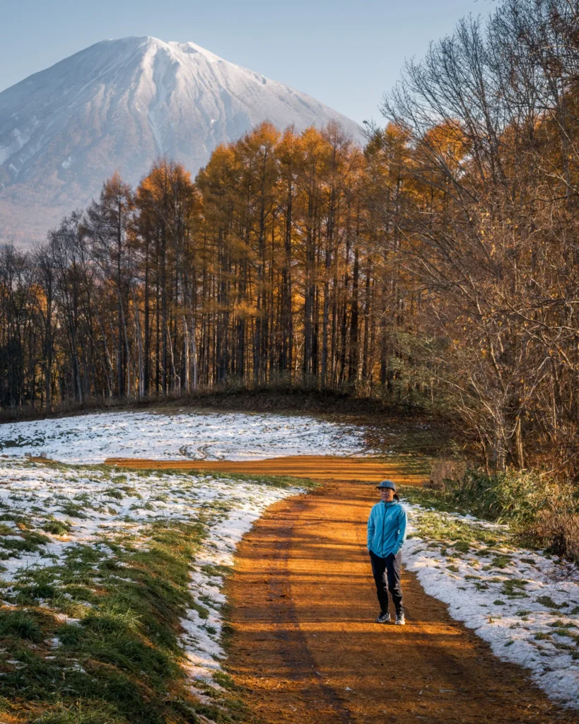 Mount Yotei with larch trees and early snow in Hokkaido, Japan, capturing the shift from autumn to winter.