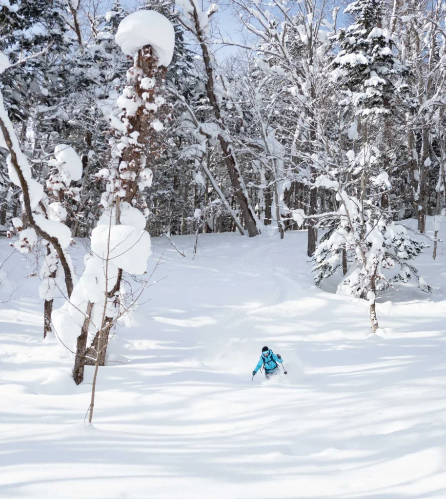 Ski photography example of skier turning on a wide snowy slope with mountain backdrop, blending action and environment as a final thought