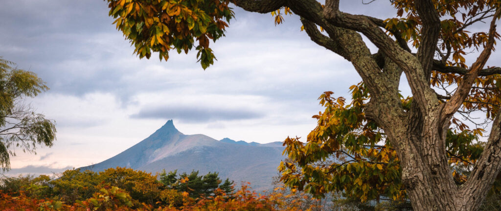 Mt. Komagatake with autumn leaves in the foreground at Lake Onuma in Hokkaido, Japan.