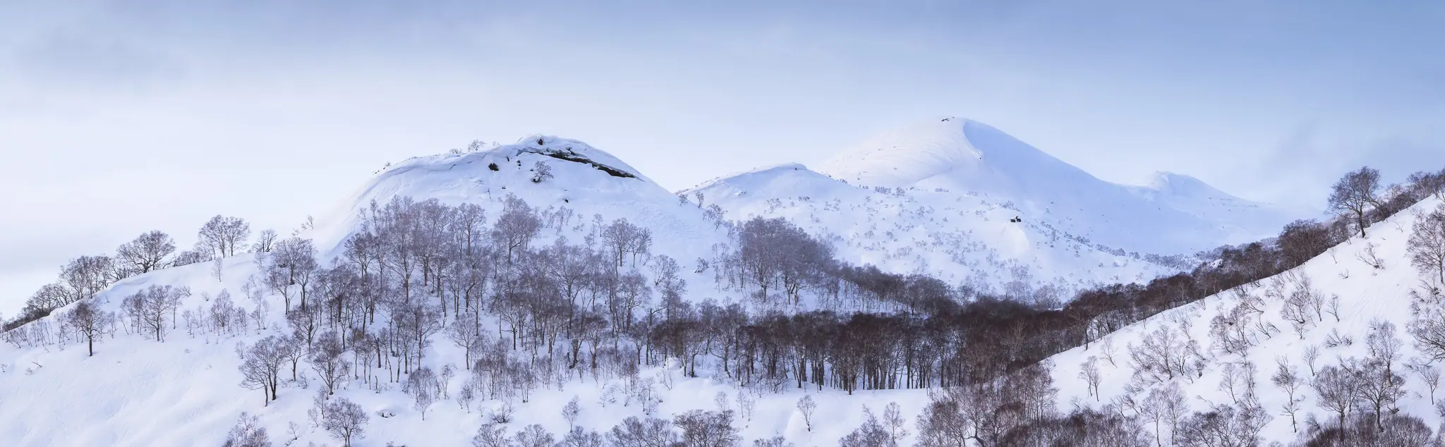 Snow-covered peaks of the Niseko Range in Hokkaido, Japan, seen under soft winter light.