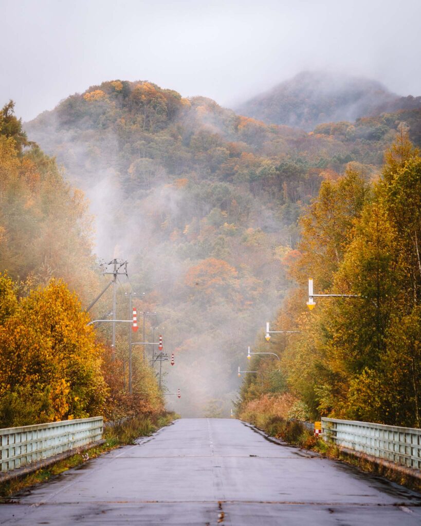 Misty autumn road leading into Torizaki Valley with colourful forested hills in Hokkaido, Japan