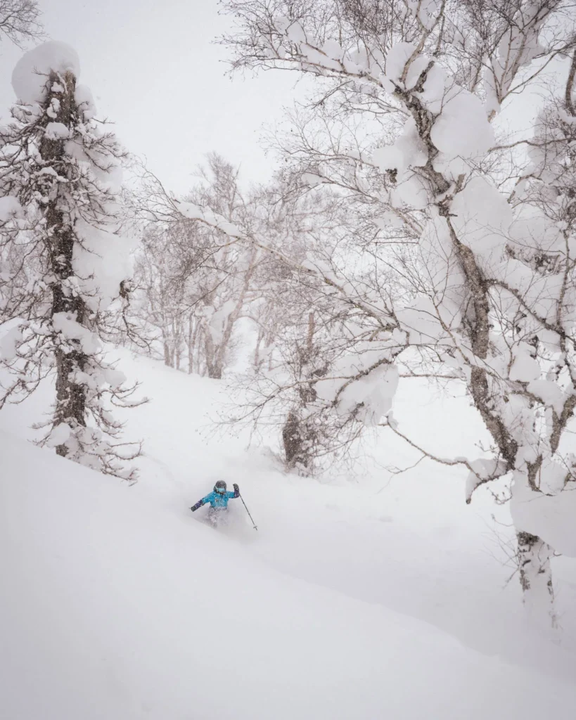Skier descending through deep powder snow in a birch forest during heavy snowfall in Hokkaido, Japan