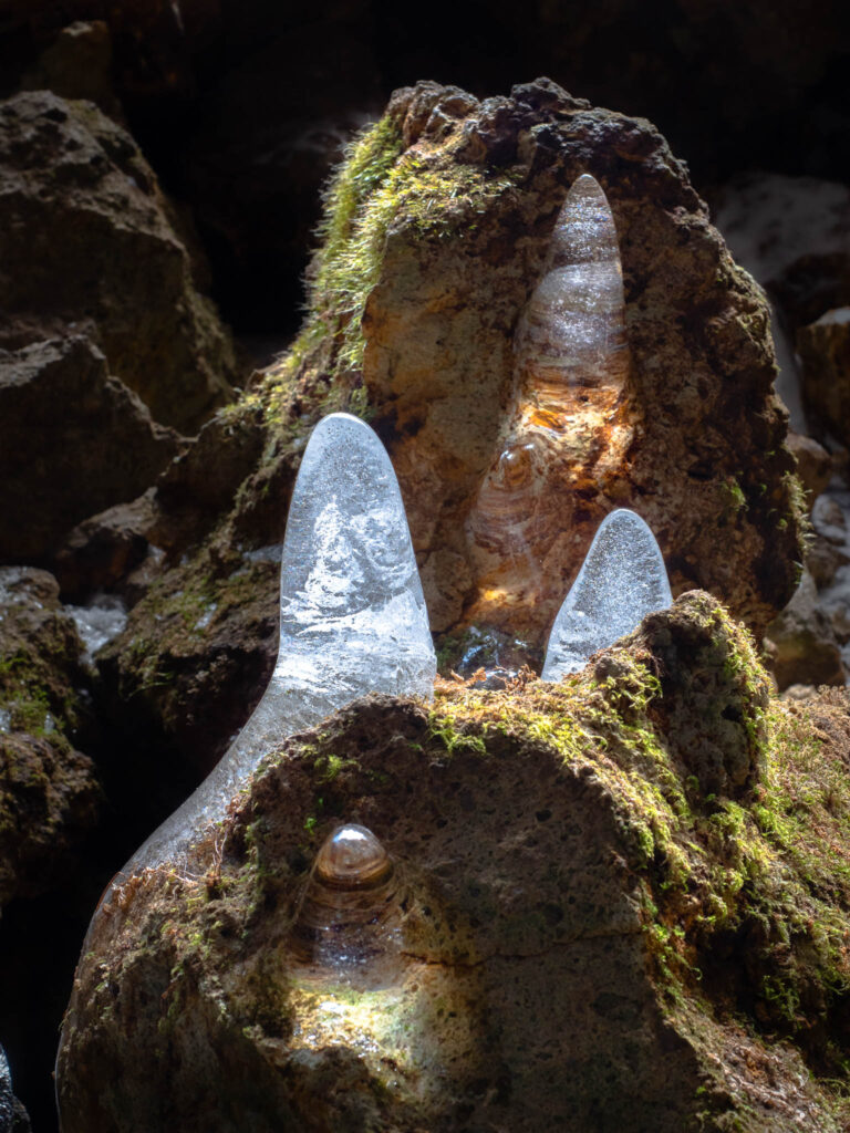 Ice formations glowing in sunlight on moss-covered rocks in Hokkaido, Japan 