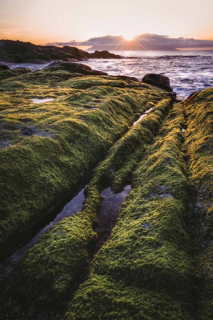 Sunset mountain landscape photographed with the Nikon Z8 showing strong dynamic range and color
