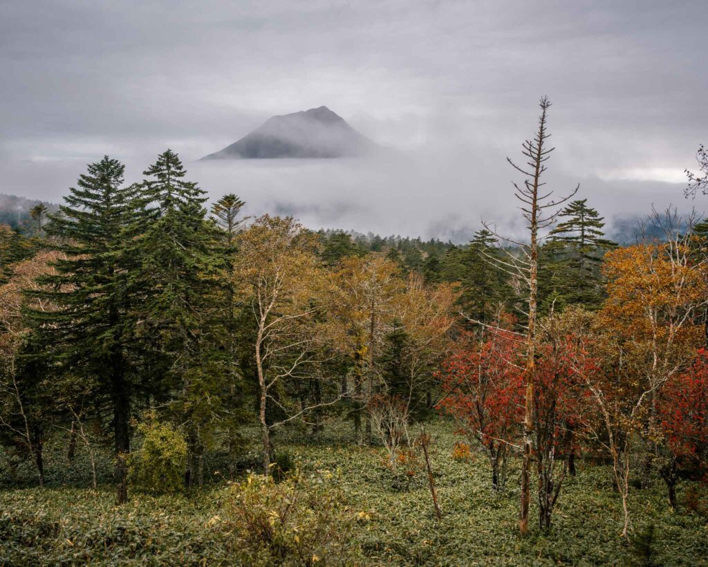 Mt Oakan in low cloud in Akan National Park eastern Hokkaido Japan