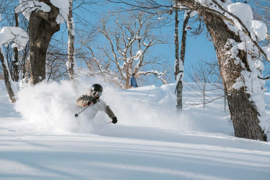 Skier carving through powder between trees captured with Nikon Z8 ski photography settings