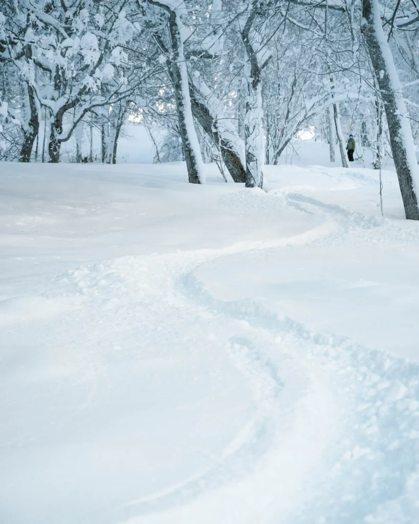 Fresh ski tracks through deep powder snow in a winter forest