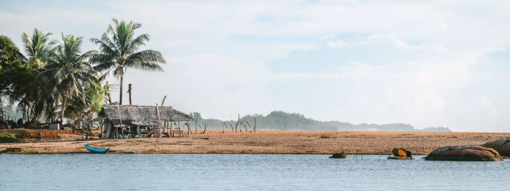 Pottuvil Lagoon near Arugam Bay, Sri Lanka, with palm trees, water and a quiet shoreline.