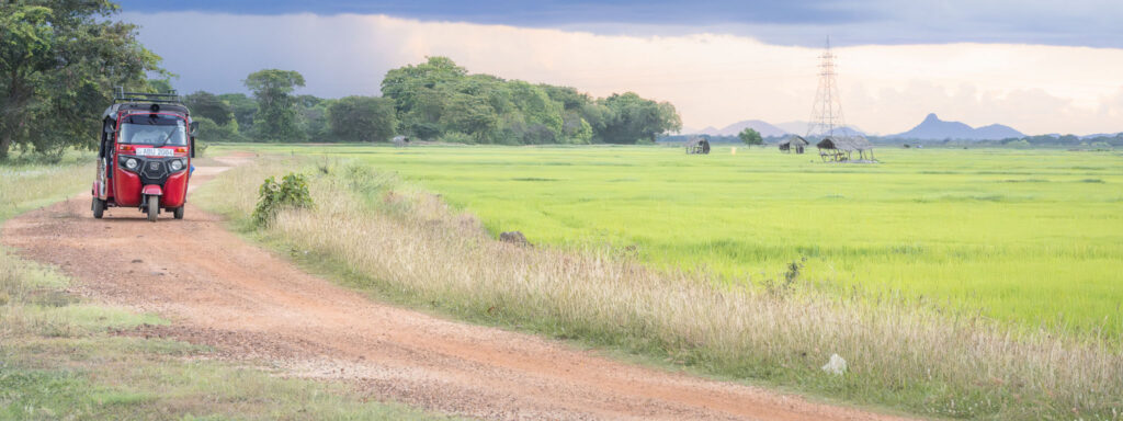 Red tuk tuk driving beside rice paddies in the countryside near Arugam Bay, Sri Lanka.