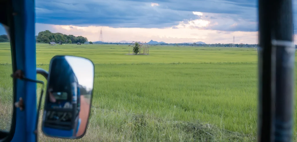 View from inside a tuk tuk looking across green rice paddies near Arugam Bay, Sri Lanka, with storm clouds over the countryside.